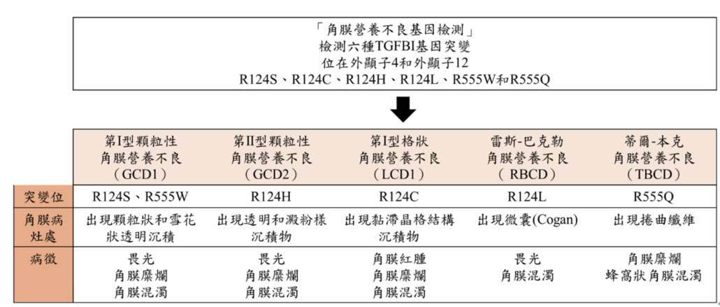 角膜營養不良基因檢測-上明眼科