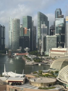 2026 APAC Ophthalmology Leaders Summit 舉辦地新加坡景觀